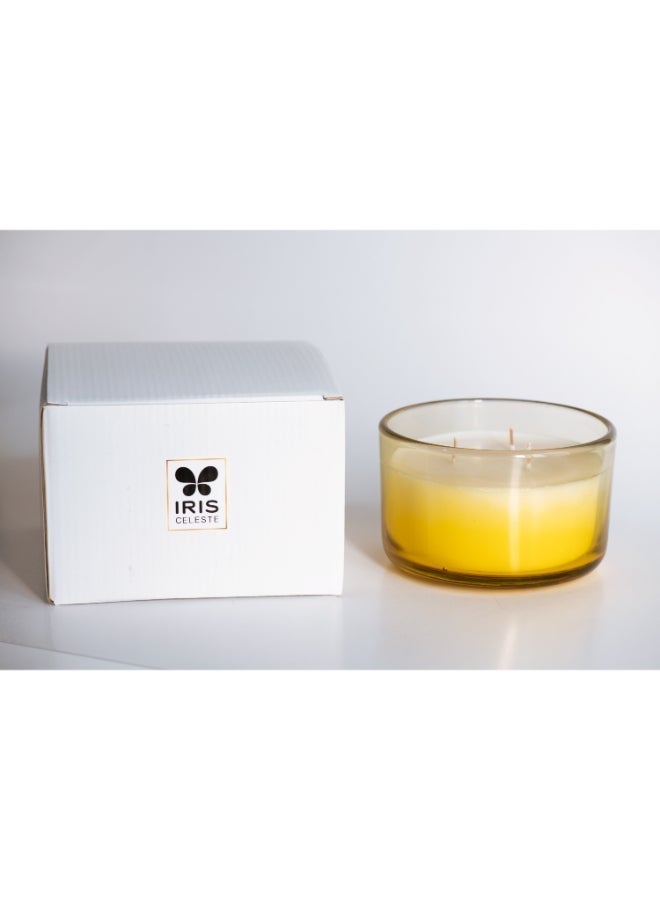 IRIS CELESTE Vanilla Honey Jar Candle 425grams - 3 wick Scented candle 15oz  | 50 hrs burn-time | Perfect for Gifting, Home Décor, Parties & Room Perfuming | Ideal for Living room and Office Décor - Image 3